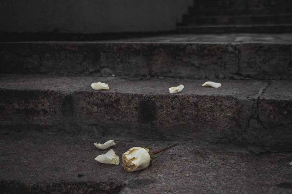 Up From the&nbsp;Cracks